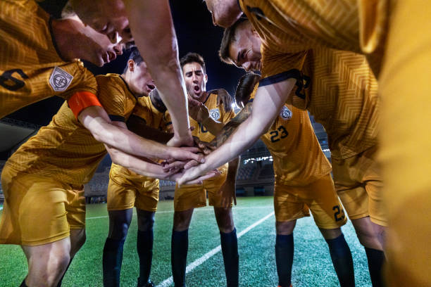 面向未来更 面向未来更